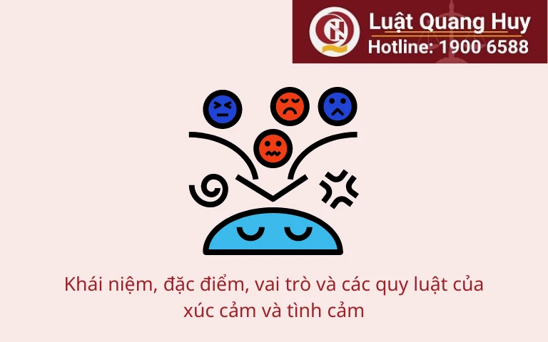 Xúc cảm và tình cảm: Khái niệm, đặc điểm, vai trò và các quy luật của xúc cảm và tình cảm