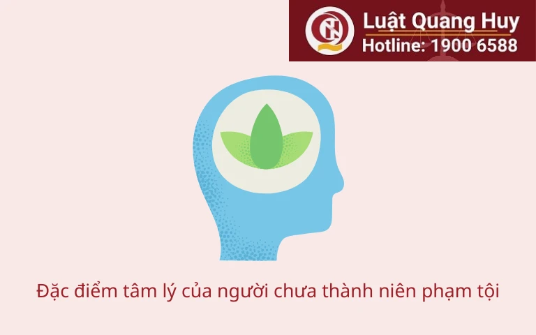 Đặc điểm tâm lý của người chưa thành niên phạm tội