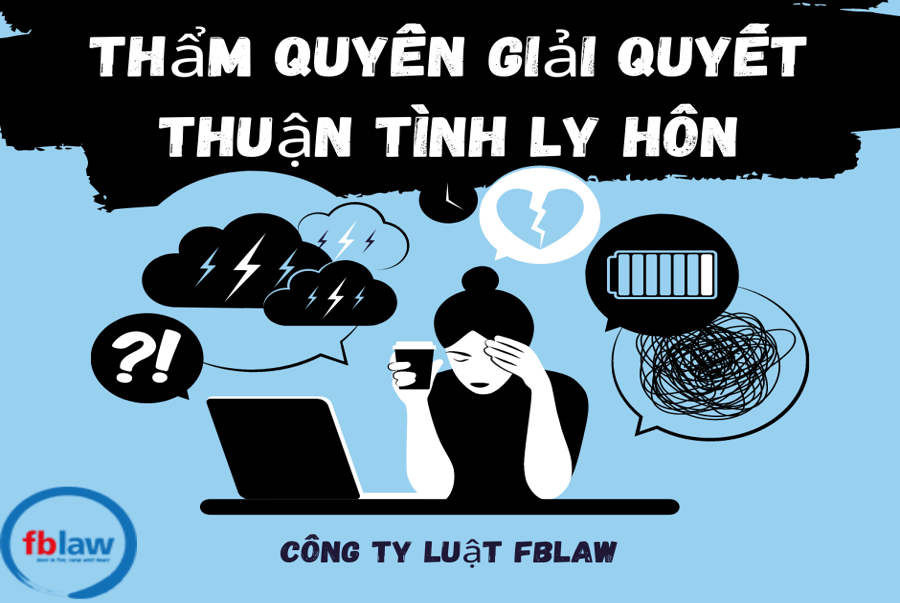 luat su giai quyet thuan tinh ly hon 2