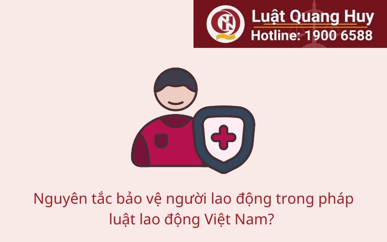 Phân tích nguyên tắc bảo vệ người lao động trong pháp luật lao động Việt Nam 2 Phân tích nguyên tắc bảo vệ người lao động trong pháp luật lao động Việt Nam